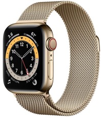 Apple Watch Series 6 GPS + Cellular 40mm Stainless Steel Case with Milanese Loop gold