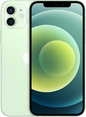 Apple iPhone 12 64GB Dual Sim green