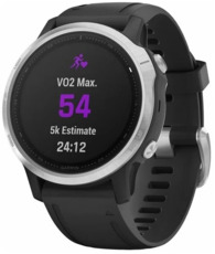 Garmin Fenix 6S NFC Black/Silver