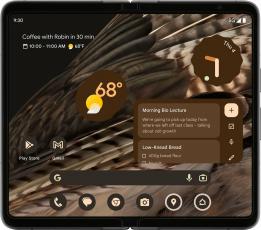 Google Pixel Fold 12/256Gb (JP) obsidian
