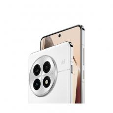 OnePlus 13 12/256Gb arctic dawn